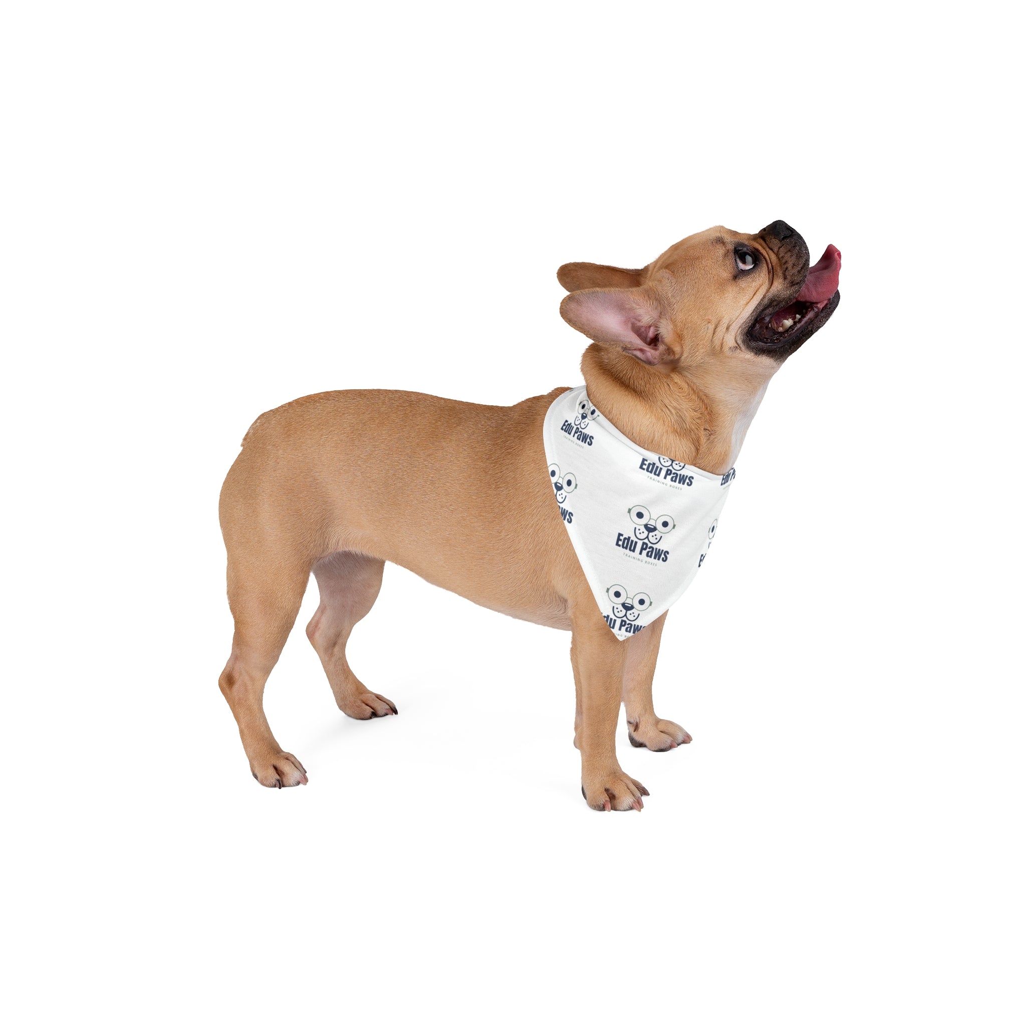 Edu Paws Bandana