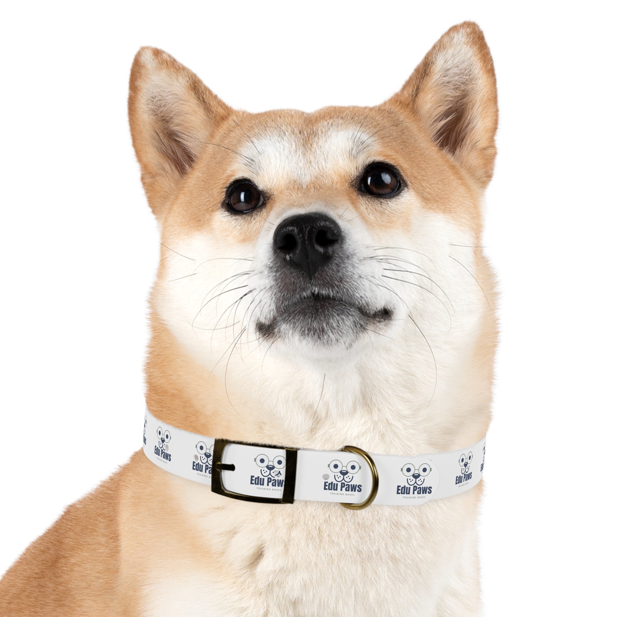 Edu Paws Collar
