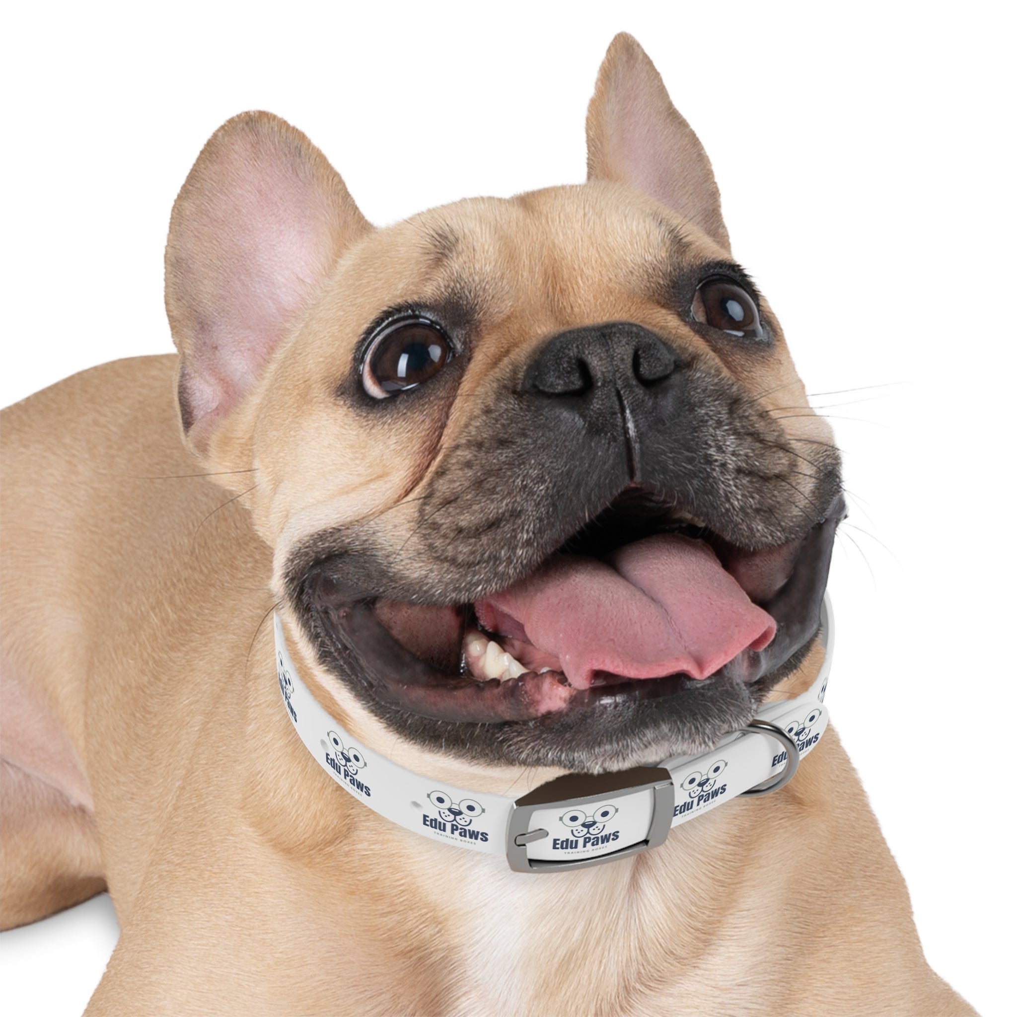 Edu Paws Collar