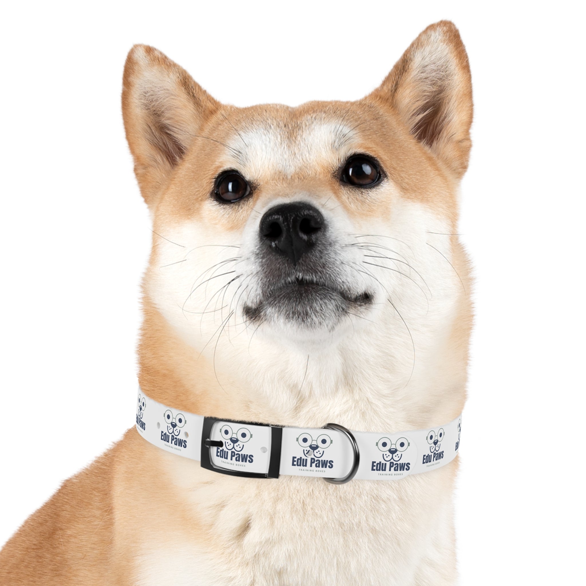 Edu Paws Collar