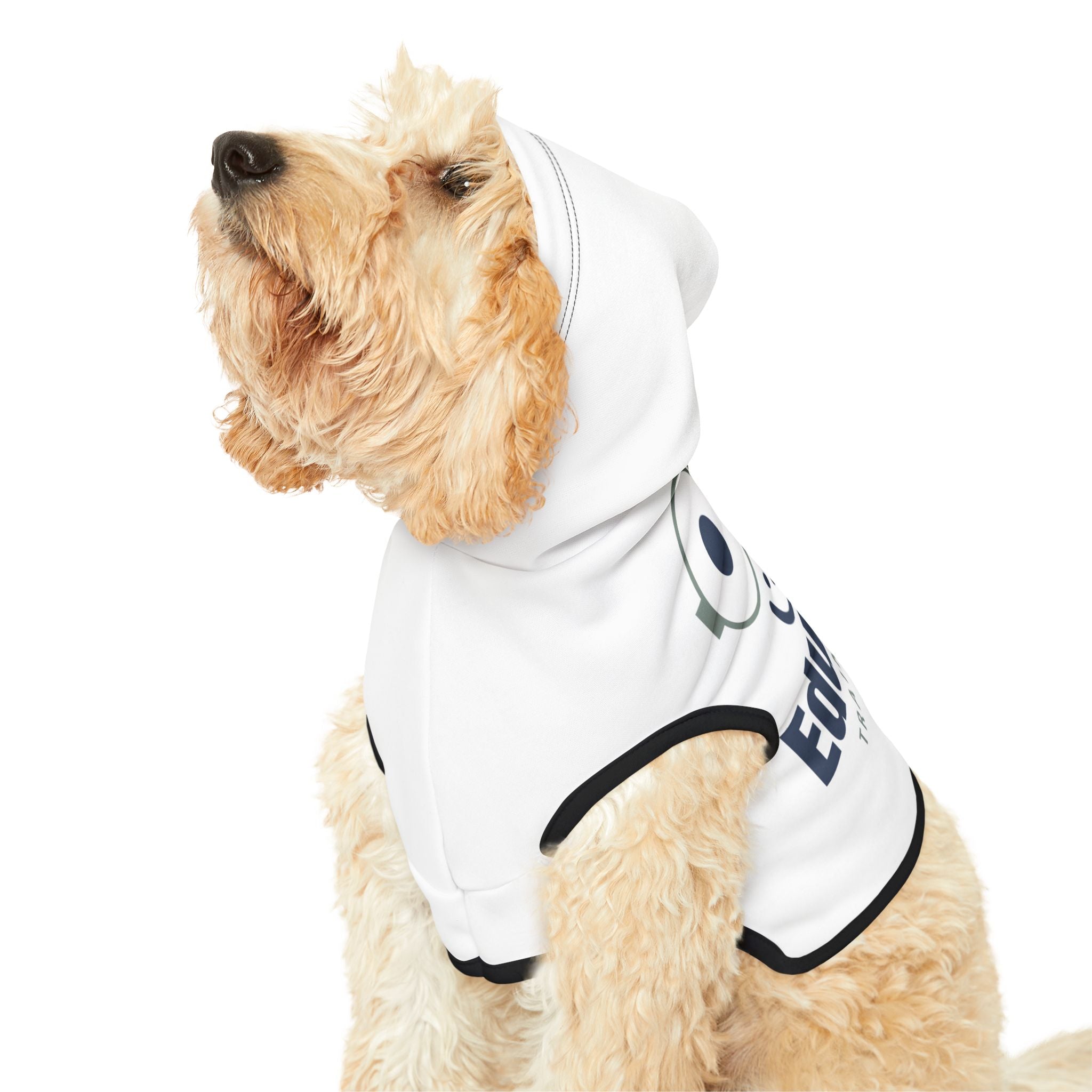 Edu Paws Pet Hoodie