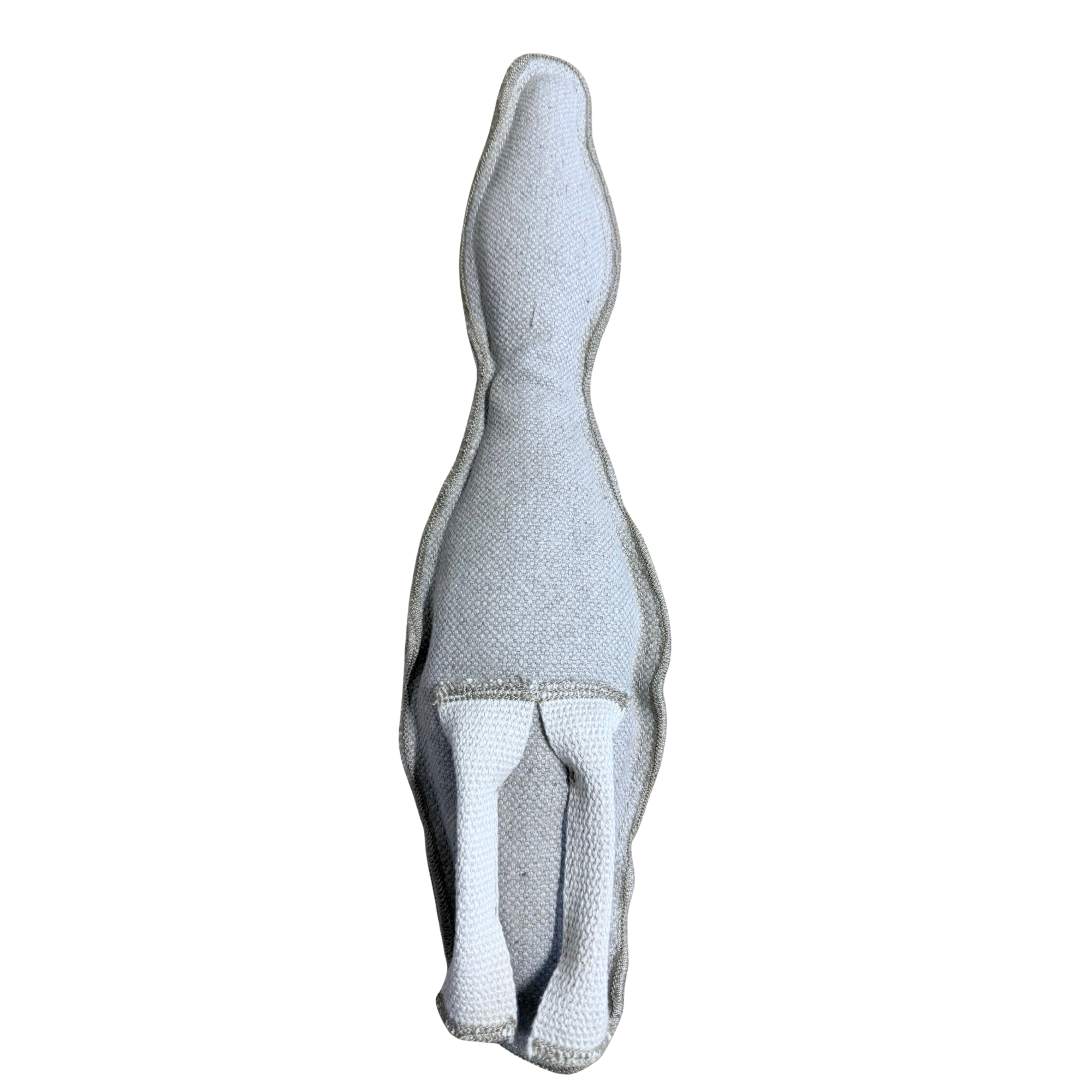 Edu Paws Box 1: Walking In Sync