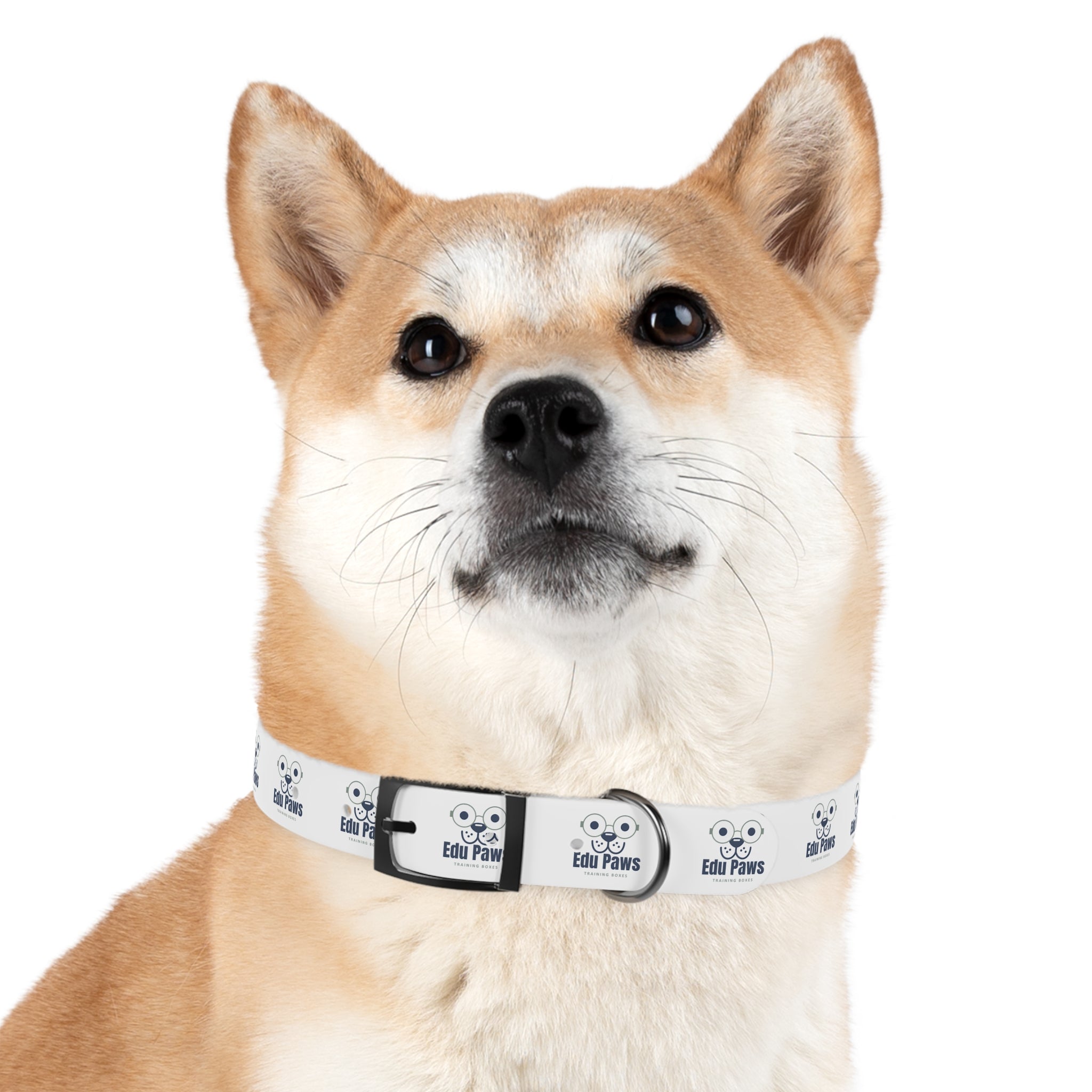 Edu Paws Collar