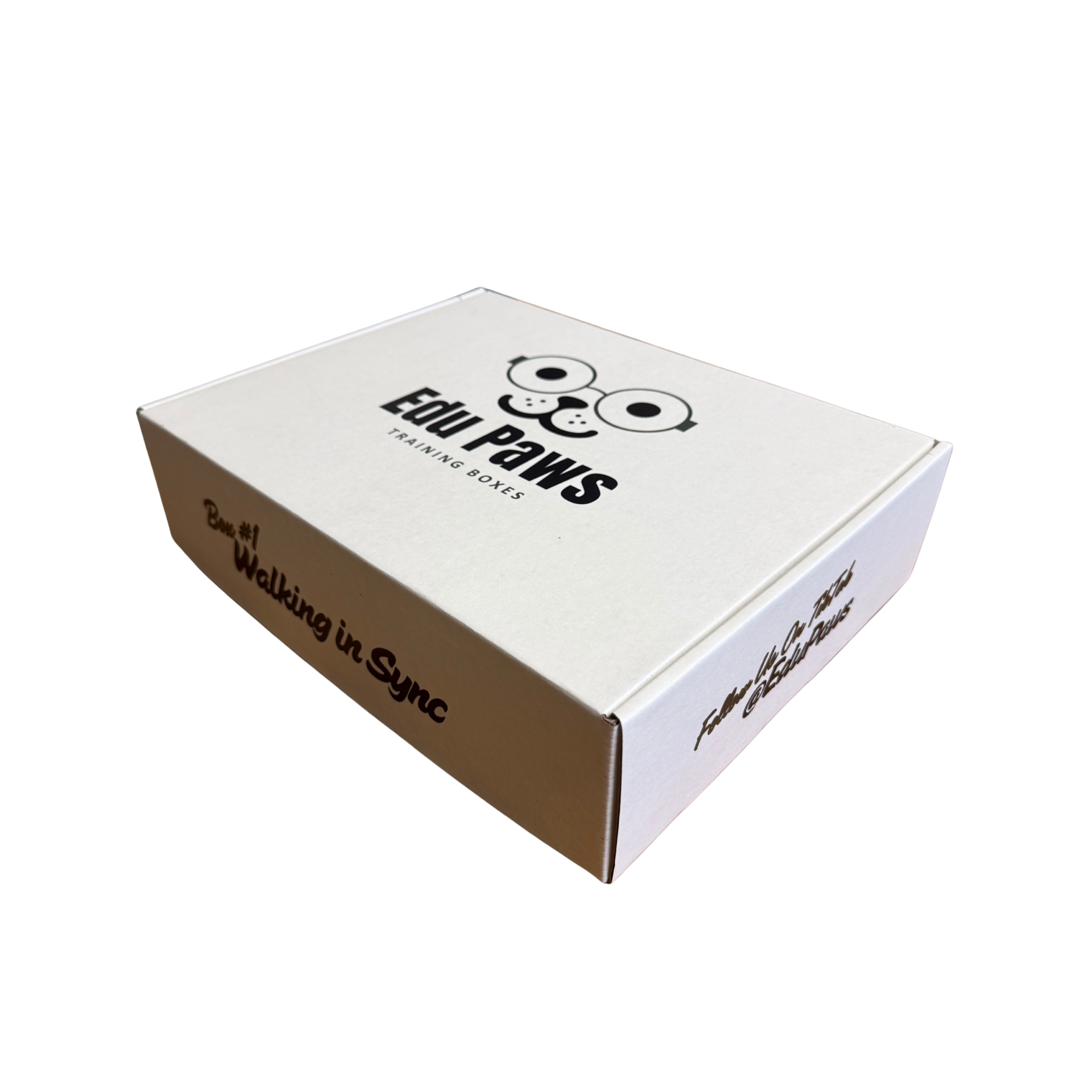 Edu Paws Box 1: Walking In Sync