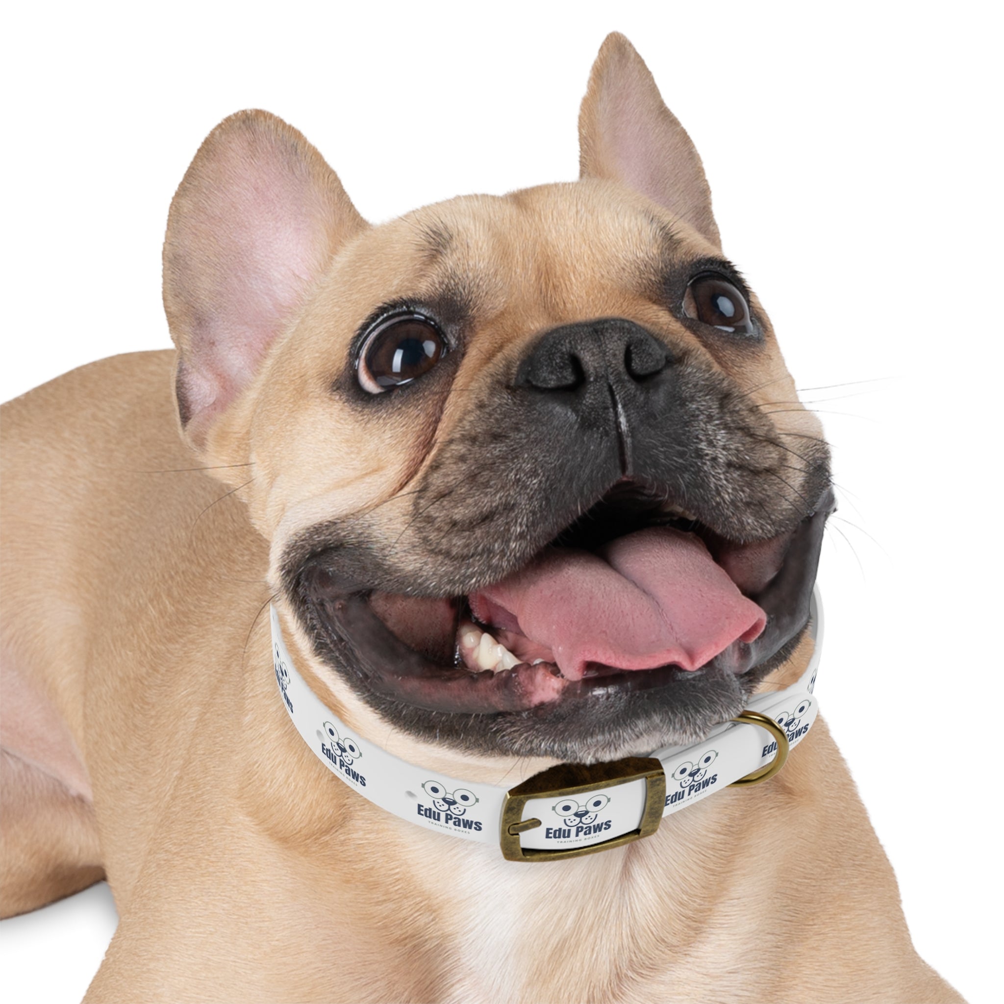 Edu Paws Collar