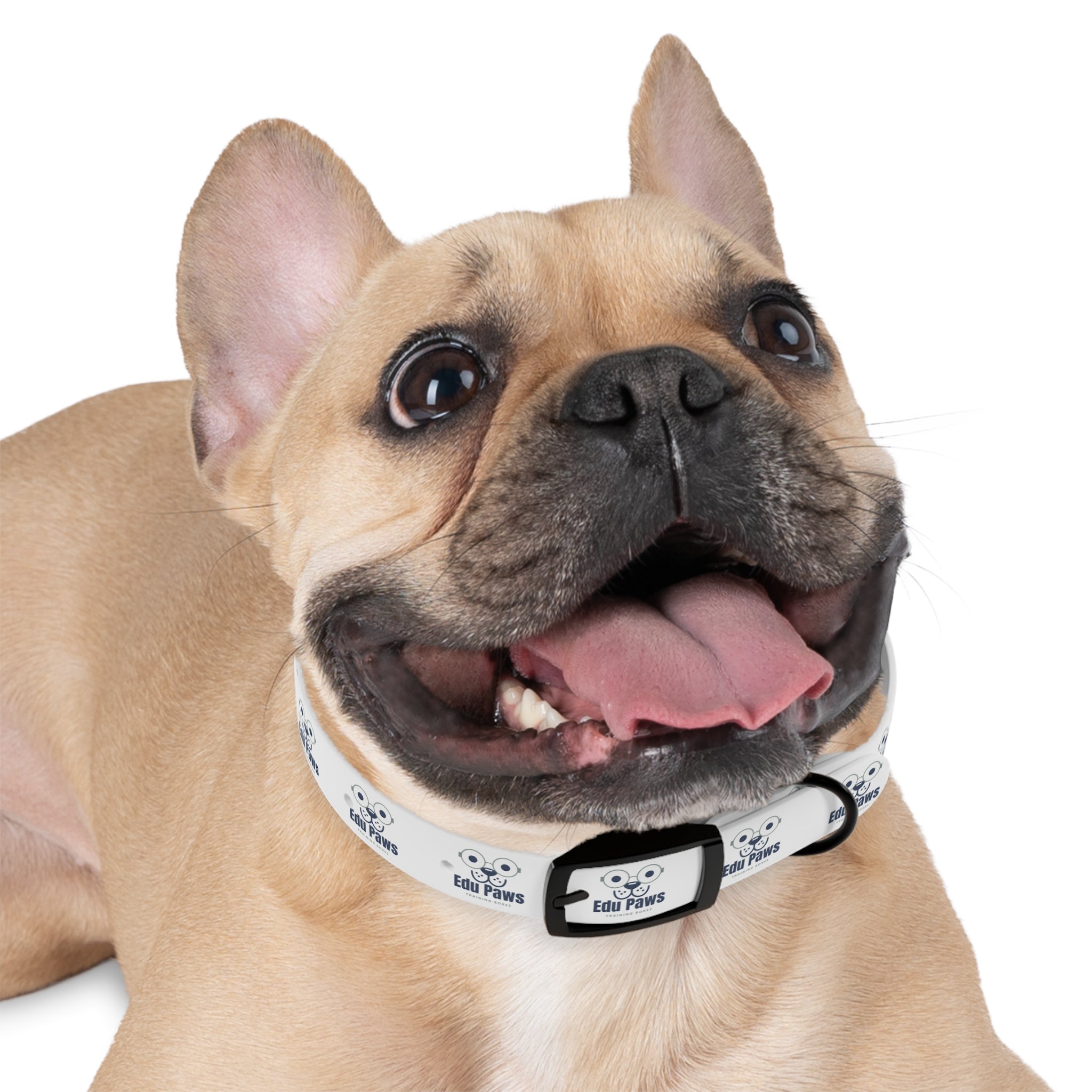 Edu Paws Collar